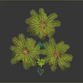 Tropical Palm Trees With Green Foliage And Small Plants On Dark Reflective Surface