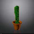 Tall Green Cactus With Thorns In Orange Pot On Gray Background