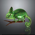 Green Chameleon With Yellow Spots Perched On Red Branch Against Dark Background With Reflection