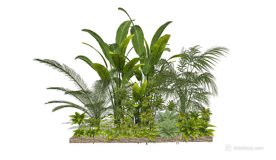 Lush Tropical Green Plants With Large Banana Palm Leaves In Diverse Arrangement 3d model 