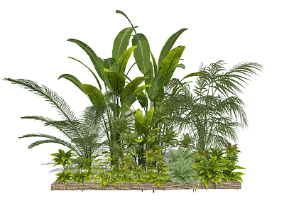 Lush Tropical Green Plants With Large Banana Palm Leaves In Diverse Arrangement 3d model