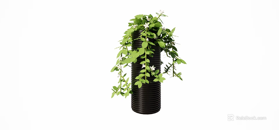 Bonsai Potted Plant With Lush Green Trailing Vines In Black Spiral Pot 3d model 