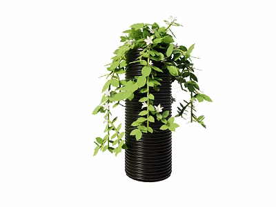 Bonsai Potted Plant With Lush Green Trailing Vines In Black Spiral Pot 3d model