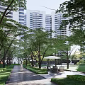 Modern High Rise Residential Landscape With Green Lawn Trees And Water Feature