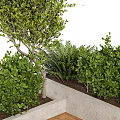 Stylish Bonsai Potted Plants In Concrete Planters With Wooden Bench And Green Shrubs