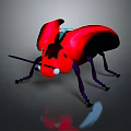 Red and Black Flying Beetle With Shiny Wings Long Antennae on Gray Background with Reflection
