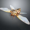 Detailed Cicada With Transparent Golden Edged Wings And Brown Body On Dark Background