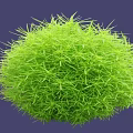Lush Green Round Grass Ball With Dense Foliage On Purple Background