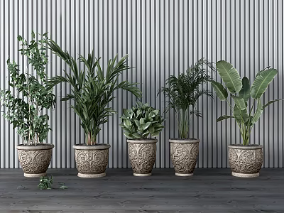 Bonsai Potted Plants in Decorative Carved Pots Against Striped Wall Background 3d model