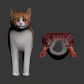 Orange and white cat dragging red plaid toy with red gloves on dark surface
