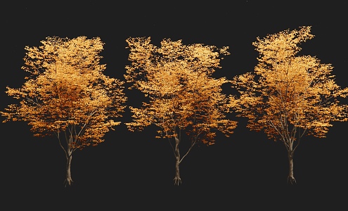 autumn landscape tree yellow leaf tree arbor 3d model