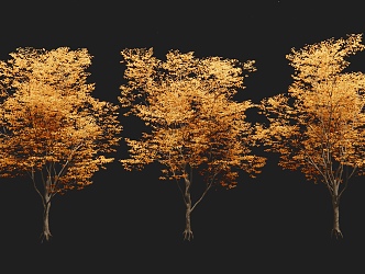 autumn landscape tree yellow leaf tree arbor 3d model