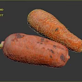 Fresh Orange Carrots with Natural Soil Marks on Dark Background 3d model