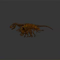 Modern skeleton dinosaur skeleton dinosaur fossil 3d model