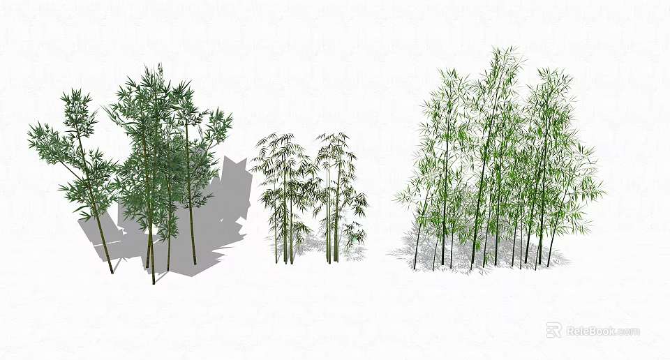 Different Bamboo Plants With Various Growth Forms 3d model 
