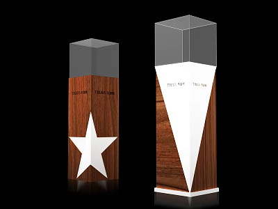 Two Modern Wooden Trophies with Transparent Tops White Star and Triangle Design 3d model