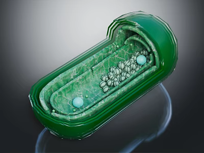 Oval Shaped Green Decorative Art Piece with Blue Spheres and White Particles Inside 3d model