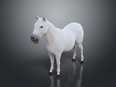 White Horse Standing Elegantly with Reflection on Gray Background in Realistic Render 3d model