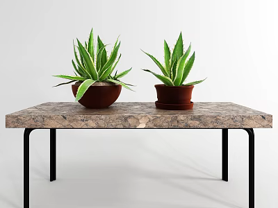 Green Leafy Potted Plants In Brown Pots On Marble Table With Black Legs 3d model