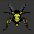 Detailed Black and Yellow Wasp with Transparent Wings and Yellow Legs