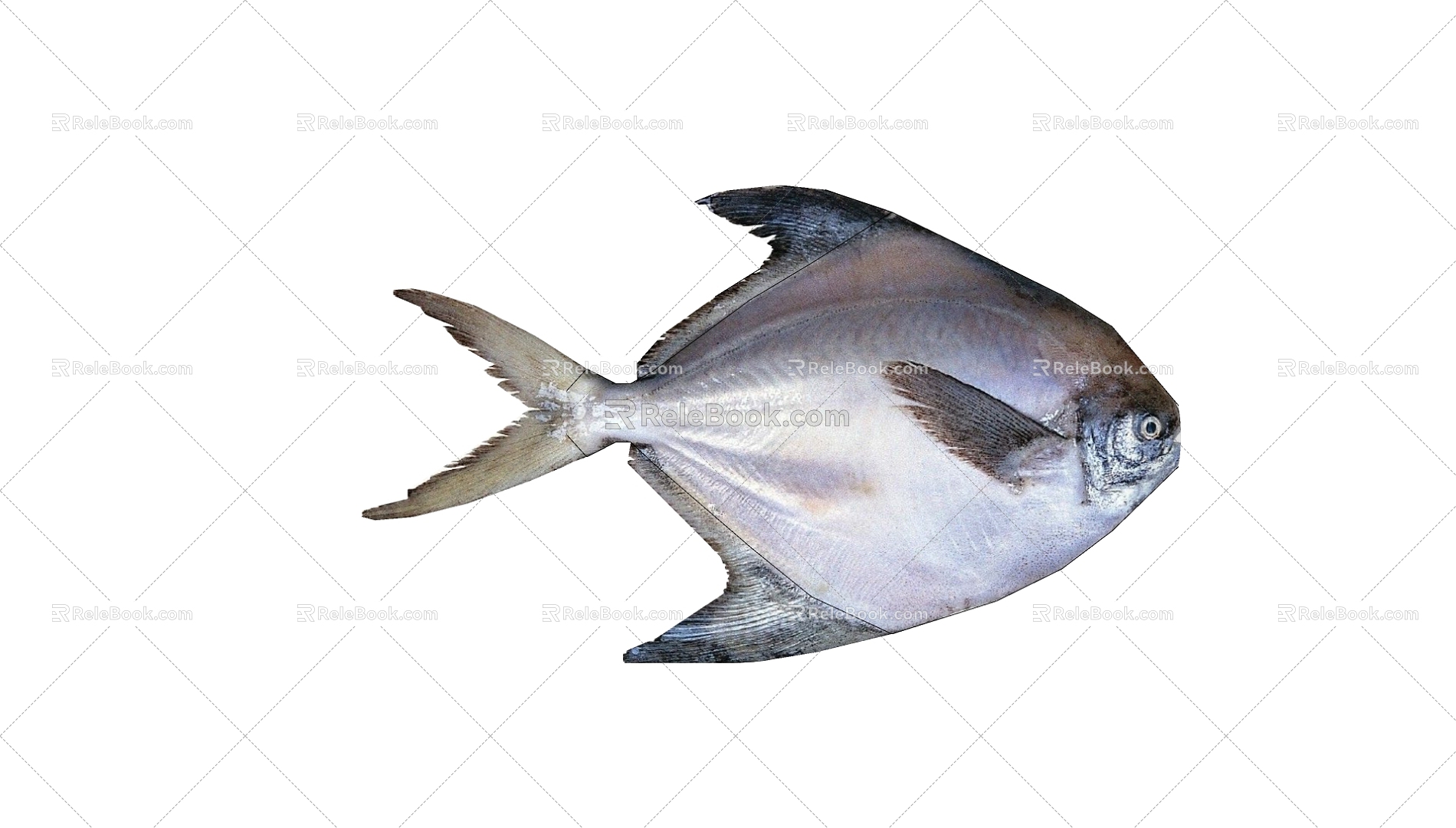 Fish 3d model