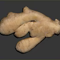 Fresh Organic Ginger Root With Natural Texture On Dark Background Surface