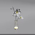 Transparent Glass Vase With White Flowers And Yellow Center On Minimalist Background