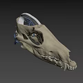 3D Rendered Animal Skull Anatomy Showing Internal Vascular System Details