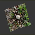 Artistic Pile of Colorful Mixed Vegetables with Mushroom and Green Leaves on Dark Background