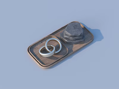 Household Living Items Tray With Silver Rings And Stacked Gray Stones 3d model