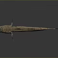 Fish Freshwater Fish Sea Fish Animal Game Animal Cartoon Animal Realistic Animal 3d model
