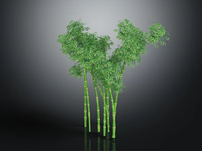 Green Bamboo Plants With Multiple Stalks And Lush Leaves Against Dark Background 3d model