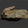 Garden Landscape Design Featuring Rock With Shell And Small Creature Fossils 3d model
