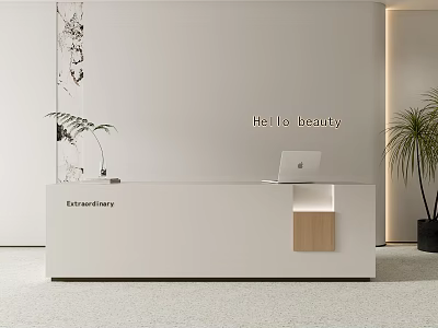 Modern Reception Desk With White Surface Wooden Accent Laptop Potted Fern And Hello Beauty Signage 3d model