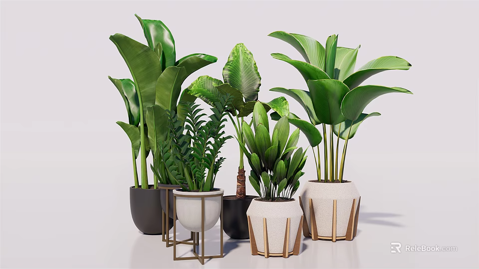 Bonsai Potted Plants With Multiple Green Leaf Varieties And Unique Design Ceramic Planters 3d model 