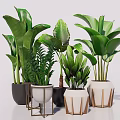 Bonsai Potted Plants With Multiple Green Leaf Varieties And Unique Design Ceramic Planters