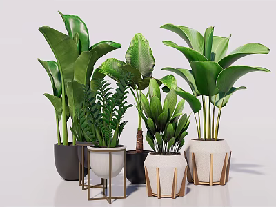 Bonsai Potted Plants With Multiple Green Leaf Varieties And Unique Design Ceramic Planters 3d model