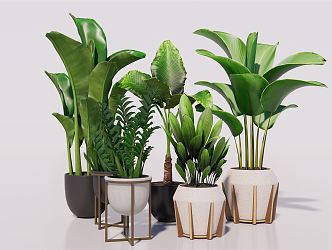 Modern potted plant green plant potted plant green plant furnishings 3d model