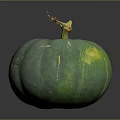 Fresh Organic Green Pumpkin With Natural Stem And Shiny Surface On Dark Background