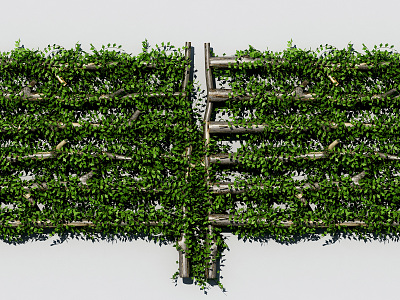 Modern Green Wall model