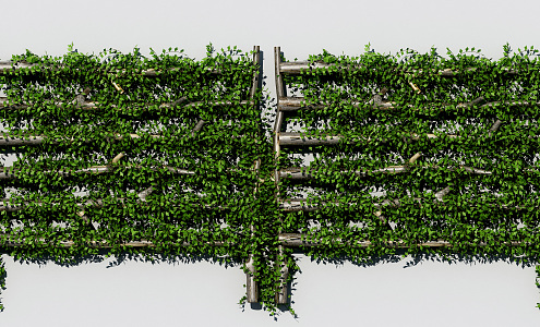 Modern Green Wall 3d model