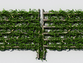 Modern Green Wall 3d model