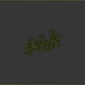 Green Leafy Tree With Brown Trunk And Lush Foliage Against Gray Background