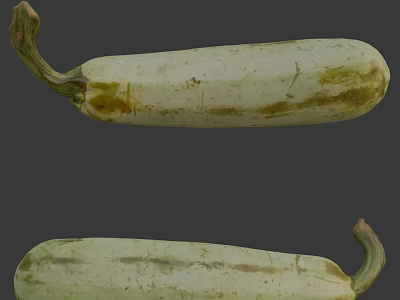 Two Fresh Organic Zucchini Vegetables with Pale Green Striped Skin and Curved Stems 3d model