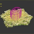 Birds Inside Metal Birdcage On White Snow Like Ground With Green Edges