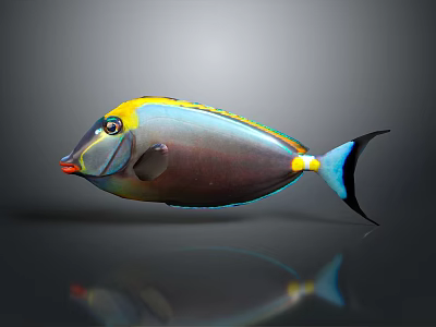 Vibrant Tropical Aquatic Fish With Yellow Head Blue Body Black Tail And Red Mouth 3d model