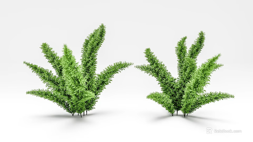 Two Green Shrubs With Lush Vibrant Foliage In Natural Growth Form 3d model 