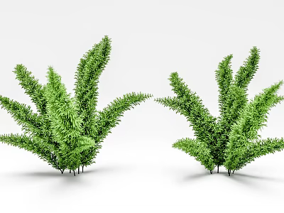 Two Green Shrubs With Lush Vibrant Foliage In Natural Growth Form 3d model
