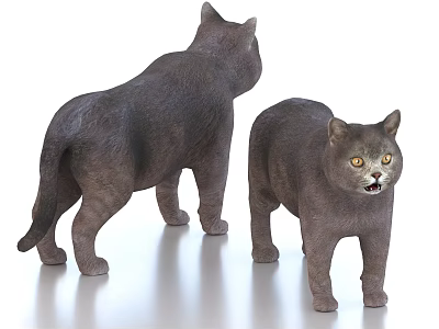 Two Gray 3D Modeled Cats Standing on Smooth Surface with Front and Back Views 3d model