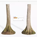 Stone And Wooden Tree Trunks With Moss Covered Roots And Natural Forest Features 3d model